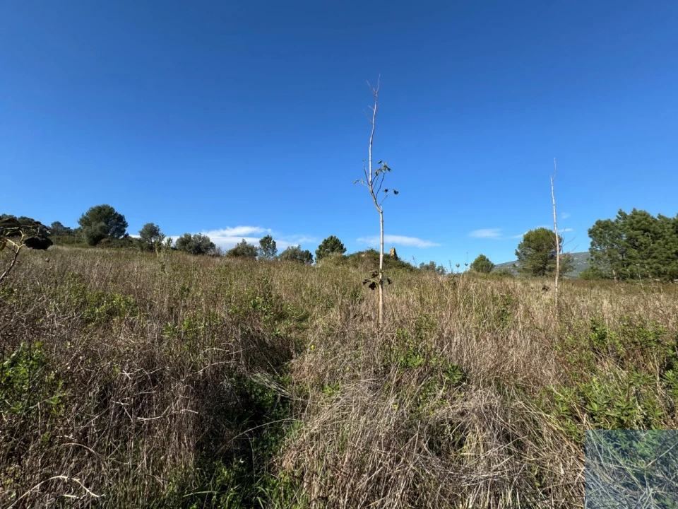 Terreno Agricola ou Rústico para Venda em Abrigada e Cabanas de Torres Foto 28