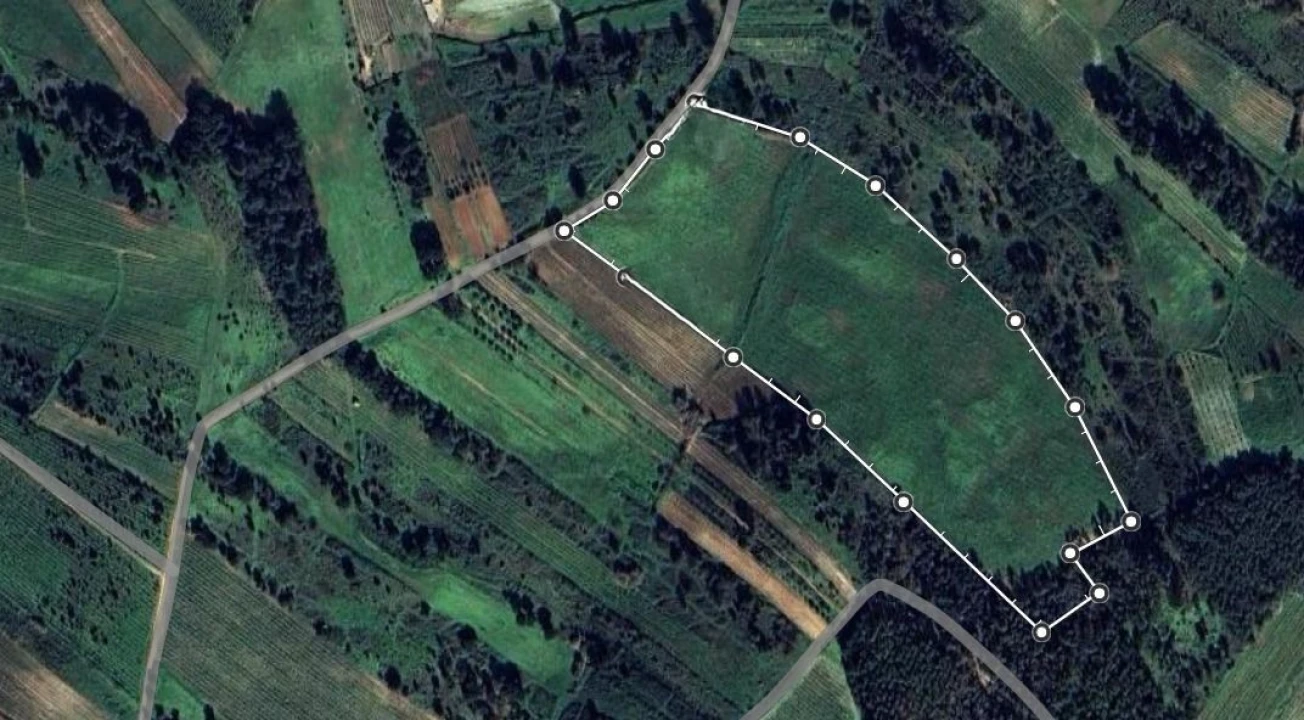 Terreno Agricola ou Rústico para Venda em Abrigada e Cabanas de Torres Foto 32