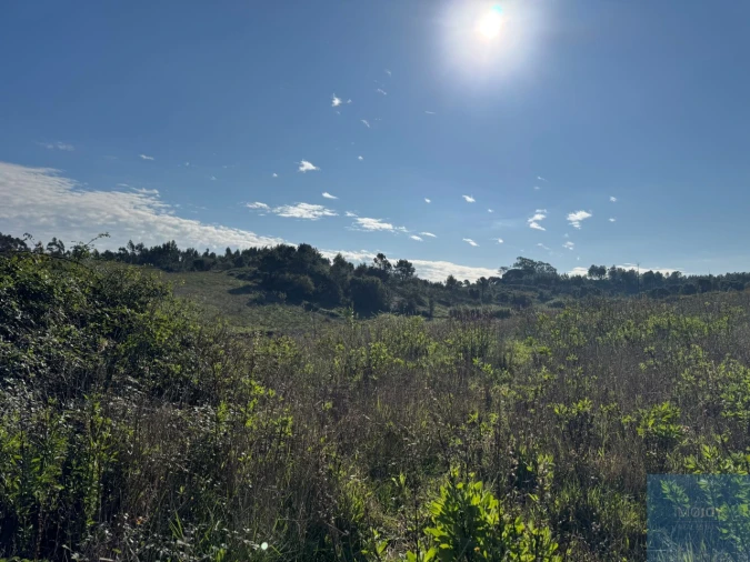 Terreno Agricola ou Rústico para Venda em Abrigada e Cabanas de Torres