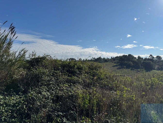 Terreno Agricola ou Rústico para Venda em Abrigada e Cabanas de Torres Foto 3