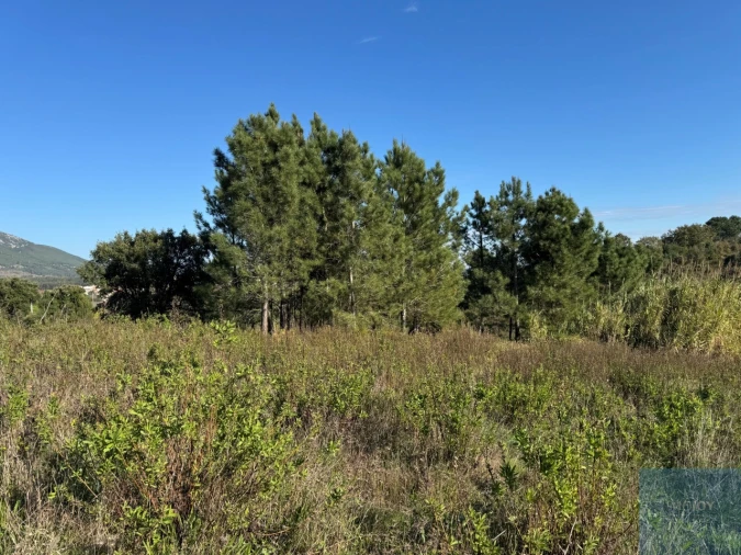 Terreno Agricola ou Rústico para Venda em Abrigada e Cabanas de Torres Foto 6