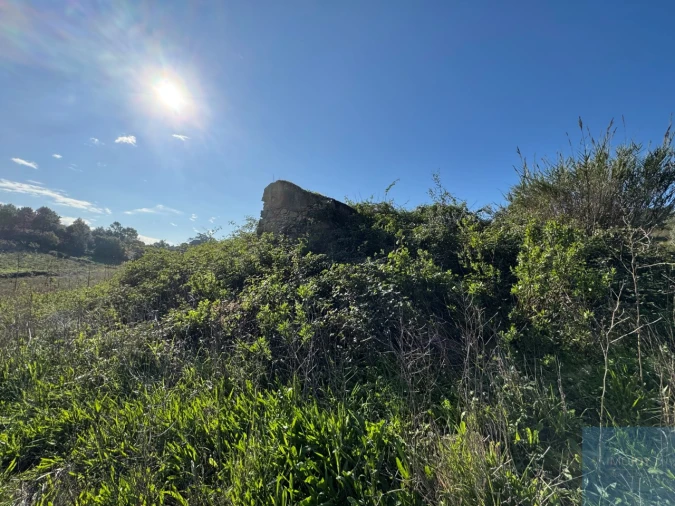 Terreno Agricola ou Rústico para Venda em Abrigada e Cabanas de Torres Foto 14