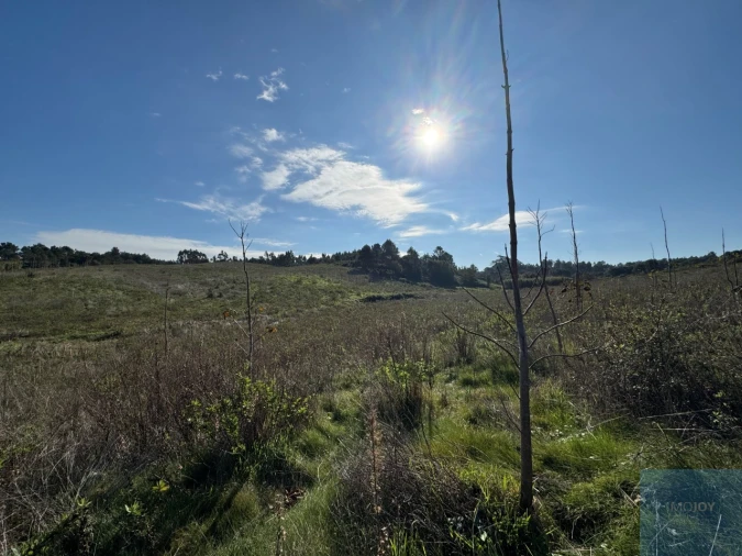Terreno Agricola ou Rústico para Venda em Abrigada e Cabanas de Torres Foto 19