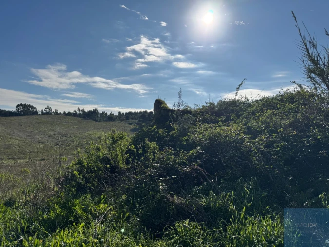 Terreno Agricola ou Rústico para Venda em Abrigada e Cabanas de Torres Foto 25