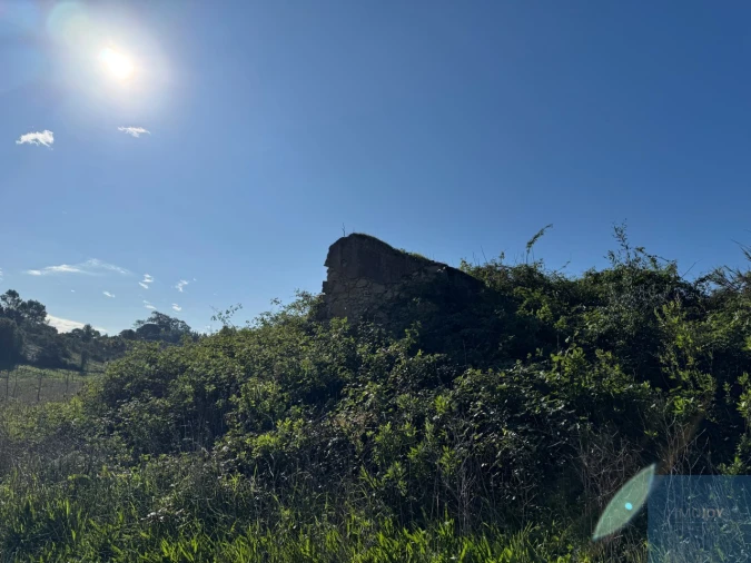 Terreno Agricola ou Rústico para Venda em Abrigada e Cabanas de Torres Foto 26