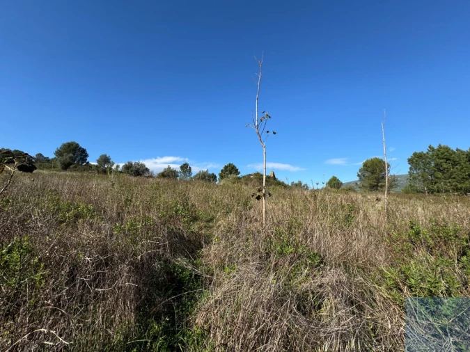 Terreno Agricola ou Rústico para Venda em Abrigada e Cabanas de Torres Foto 28