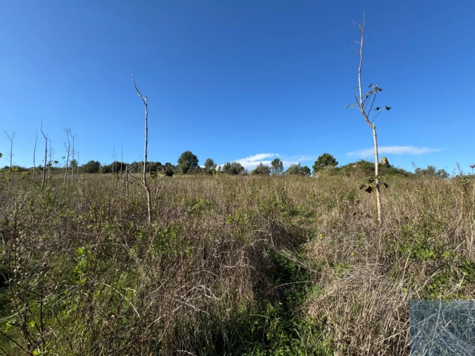 Terreno Agricola ou Rústico para Venda em Abrigada e Cabanas de Torres Foto 29