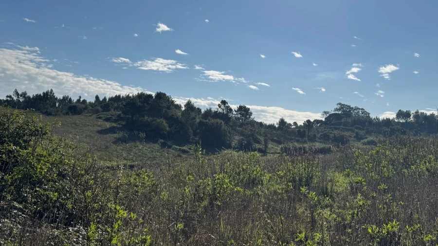Terreno Agricola ou Rústico para Venda em Abrigada e Cabanas de Torres