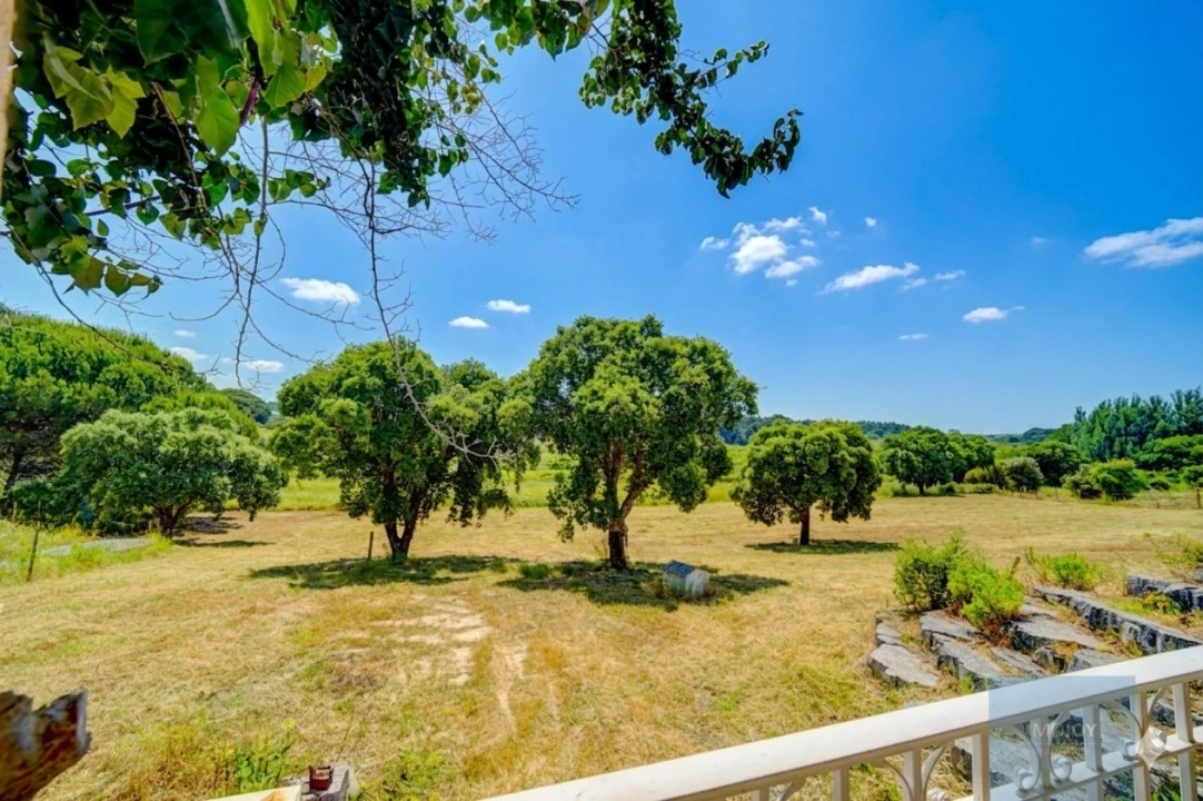 Quinta T3 para Venda em Alcoentre Foto 39