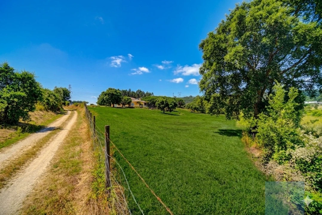 Quinta T3 para Venda em Alcoentre Foto 49