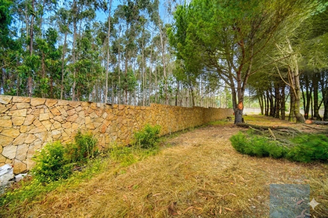 Quinta T3 para Venda em Alcoentre Foto 51