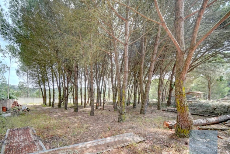 Quinta T3 para Venda em Alcoentre Foto 48