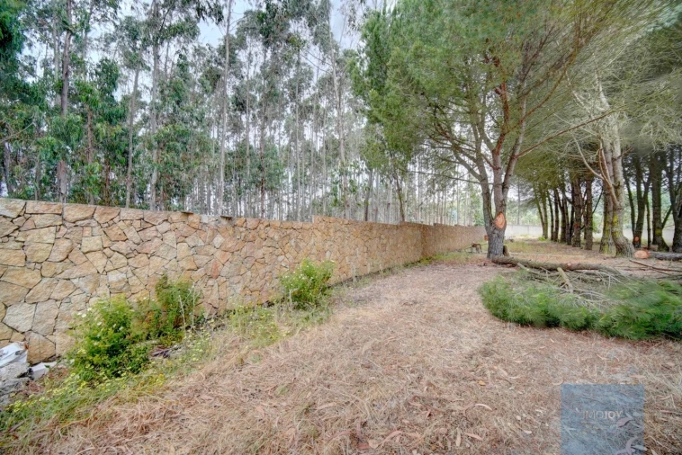 Quinta T3 para Venda em Alcoentre Foto 50