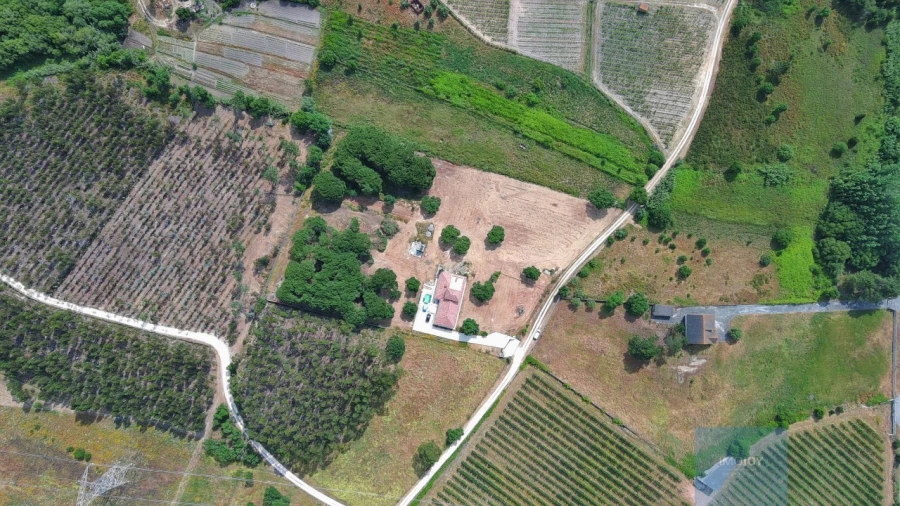 Quinta T3 para Venda em Alcoentre Foto 53