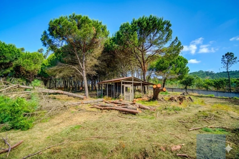 Quinta T3 para Venda em Alcoentre Foto 38