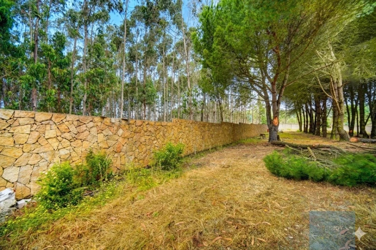 Quinta T3 para Venda em Alcoentre Foto 51