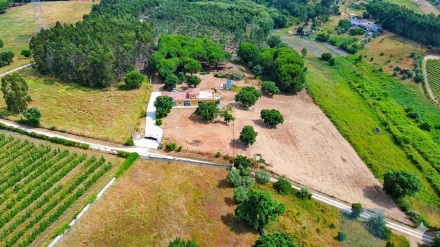 Quinta T3 para Venda em Alcoentre Foto 54