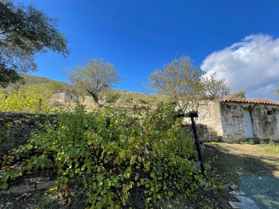 Terreno Agricola ou Rústico para Venda em Vila Nova de Foz Côa Foto 1