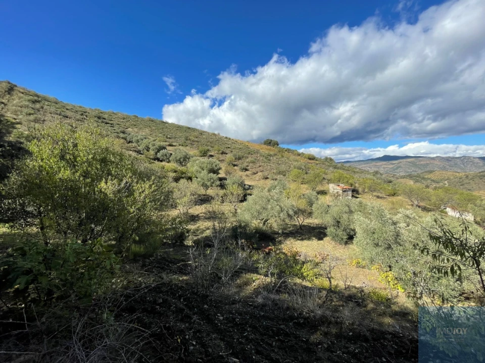 Terreno Agricola ou Rústico para Venda em Vila Nova de Foz Côa Foto 3