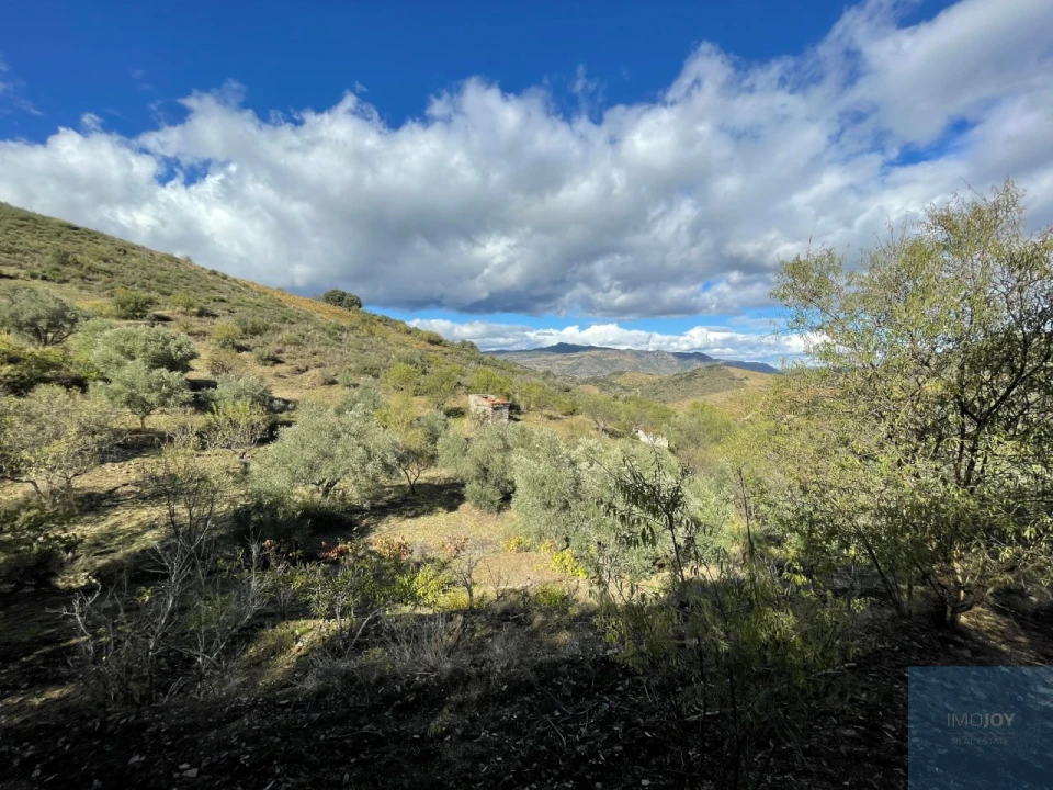 Terreno Agricola ou Rústico para Venda em Vila Nova de Foz Côa Foto 4