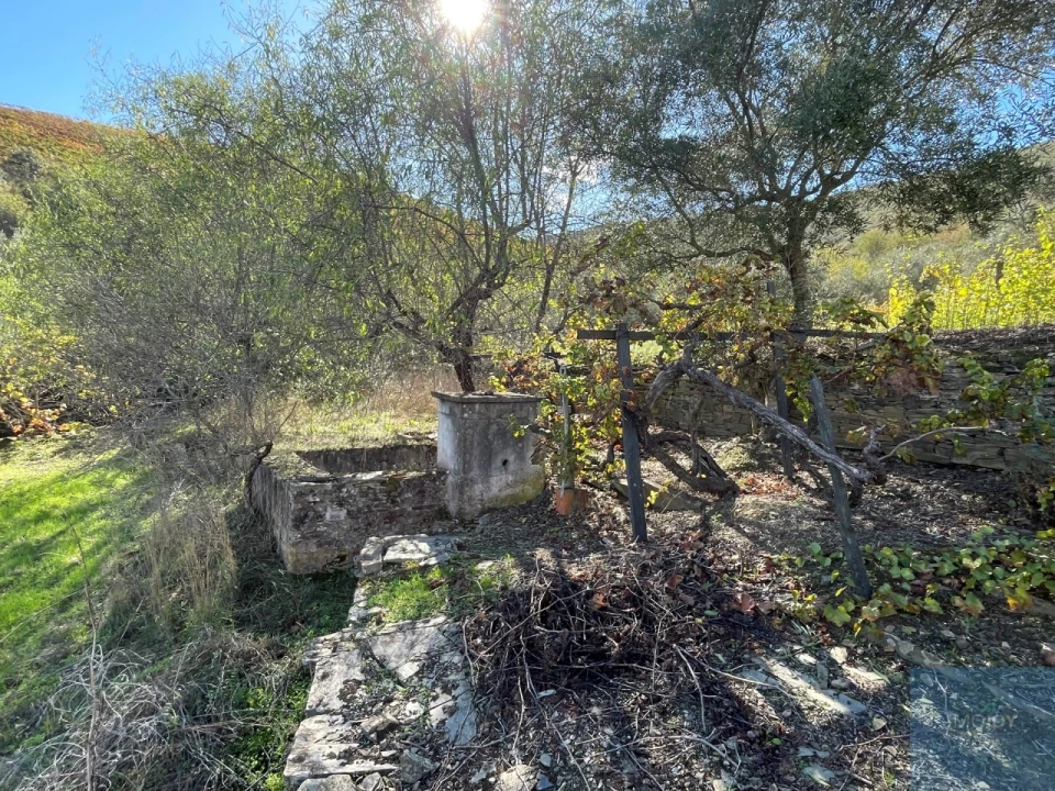 Terreno Agricola ou Rústico para Venda em Vila Nova de Foz Côa Foto 10