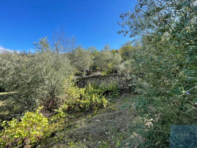 Terreno Agricola ou Rústico para Venda em Vila Nova de Foz Côa Foto 5