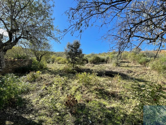 Terreno Agricola ou Rústico para Venda em Vila Nova de Foz Côa Foto 9