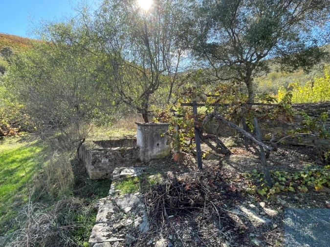 Terreno Agricola ou Rústico para Venda em Vila Nova de Foz Côa Foto 10