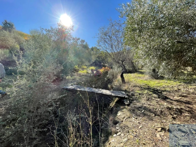 Terreno Agricola ou Rústico para Venda em Vila Nova de Foz Côa Foto 15