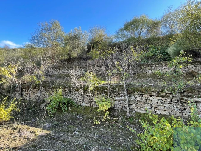 Terreno Agricola ou Rústico para Venda em Vila Nova de Foz Côa Foto 17
