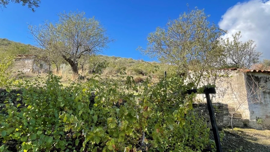 Terreno Agricola ou Rústico para Venda em Vila Nova de Foz Côa