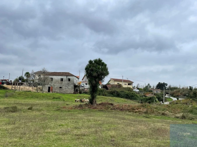 Terreno Misto para Venda em Penafiel Foto 1