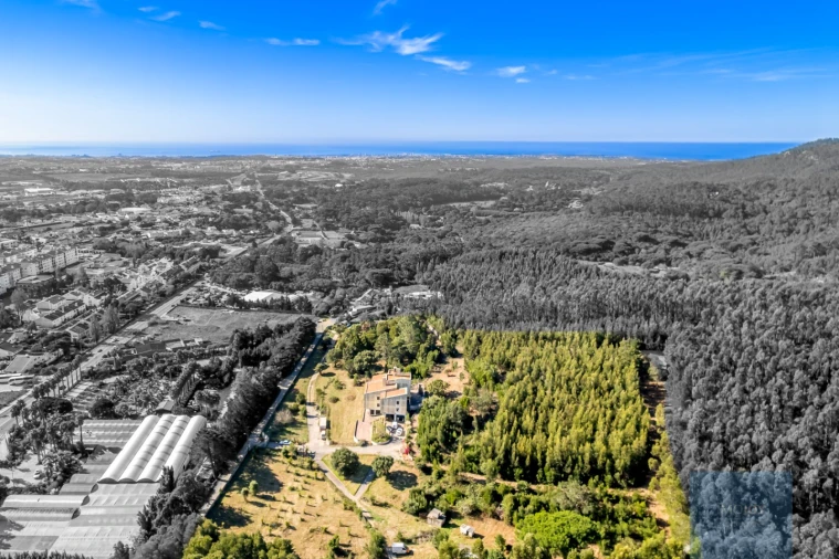 Moradia T10 para Venda em Santa Maria e São Miguel, São Martinho, São Pedro Penaferrim Foto 2