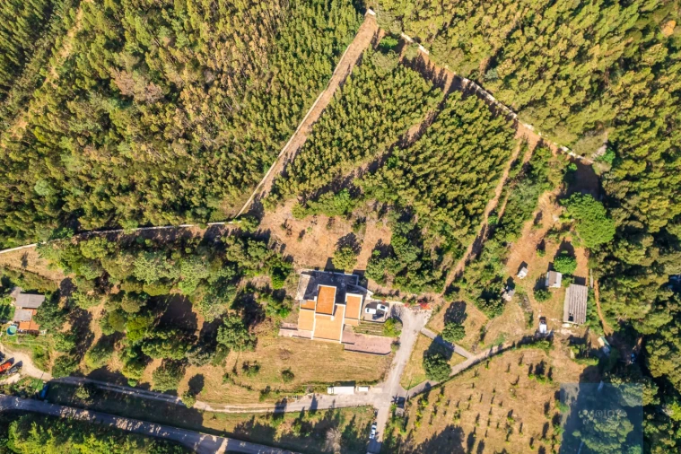 Moradia T10 para Venda em Santa Maria e São Miguel, São Martinho, São Pedro Penaferrim Foto 3