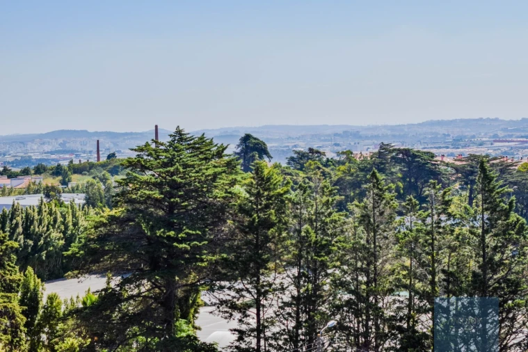 Moradia T10 para Venda em Santa Maria e São Miguel, São Martinho, São Pedro Penaferrim Foto 38