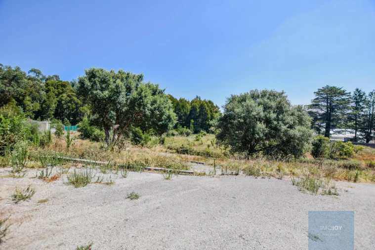 Moradia T10 para Venda em Santa Maria e São Miguel, São Martinho, São Pedro Penaferrim Foto 53