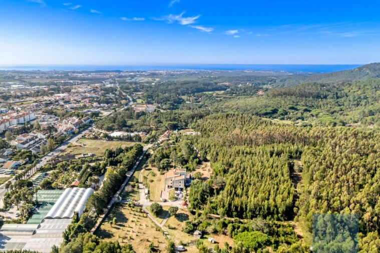 Moradia T10 para Venda em Santa Maria e São Miguel, São Martinho, São Pedro Penaferrim Foto 59