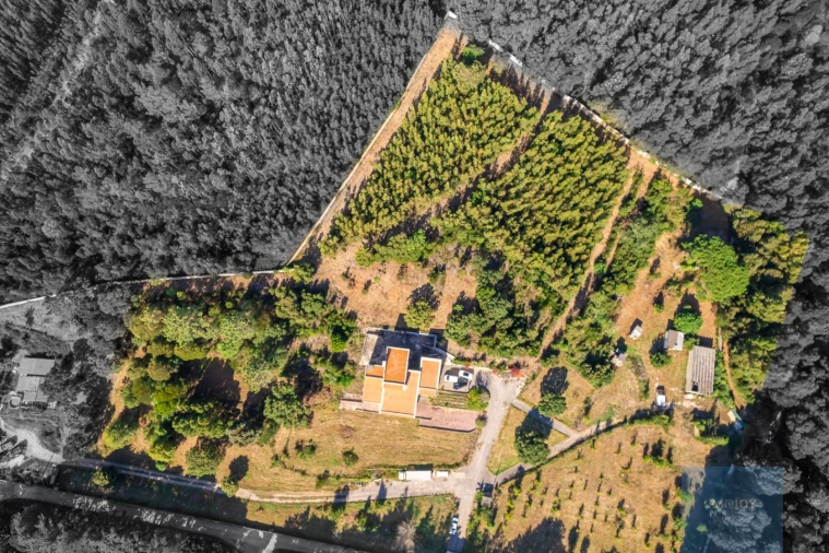 Moradia T10 para Venda em Santa Maria e São Miguel, São Martinho, São Pedro Penaferrim Foto 60