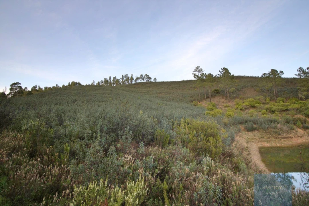 Terreno Misto para Venda em Marmelete Foto 5