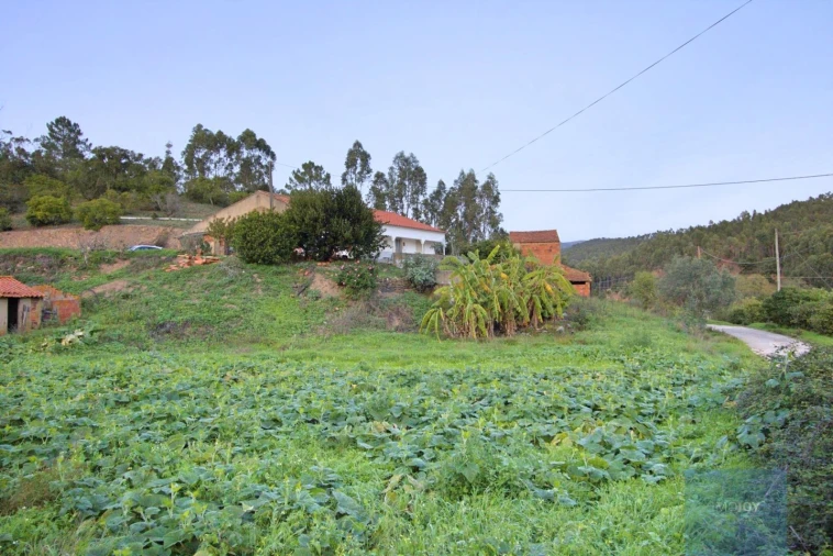 Terreno Misto para Venda em Marmelete Foto 1