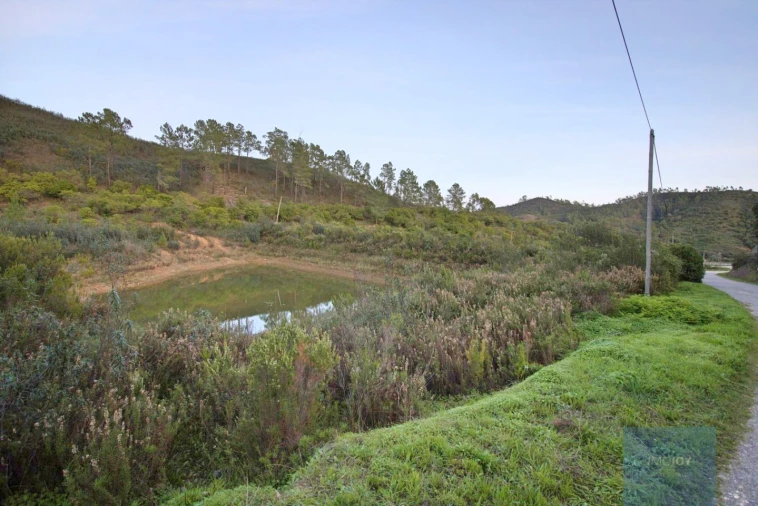 Terreno Misto para Venda em Marmelete Foto 4