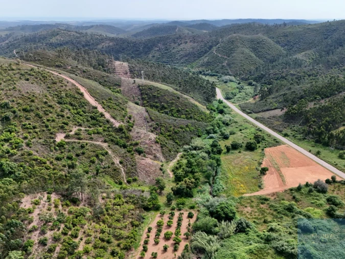 Terreno Misto para Venda em Marmelete Foto 40