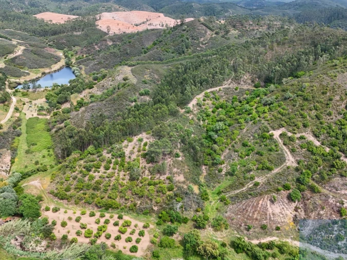 Terreno Misto para Venda em Marmelete Foto 42