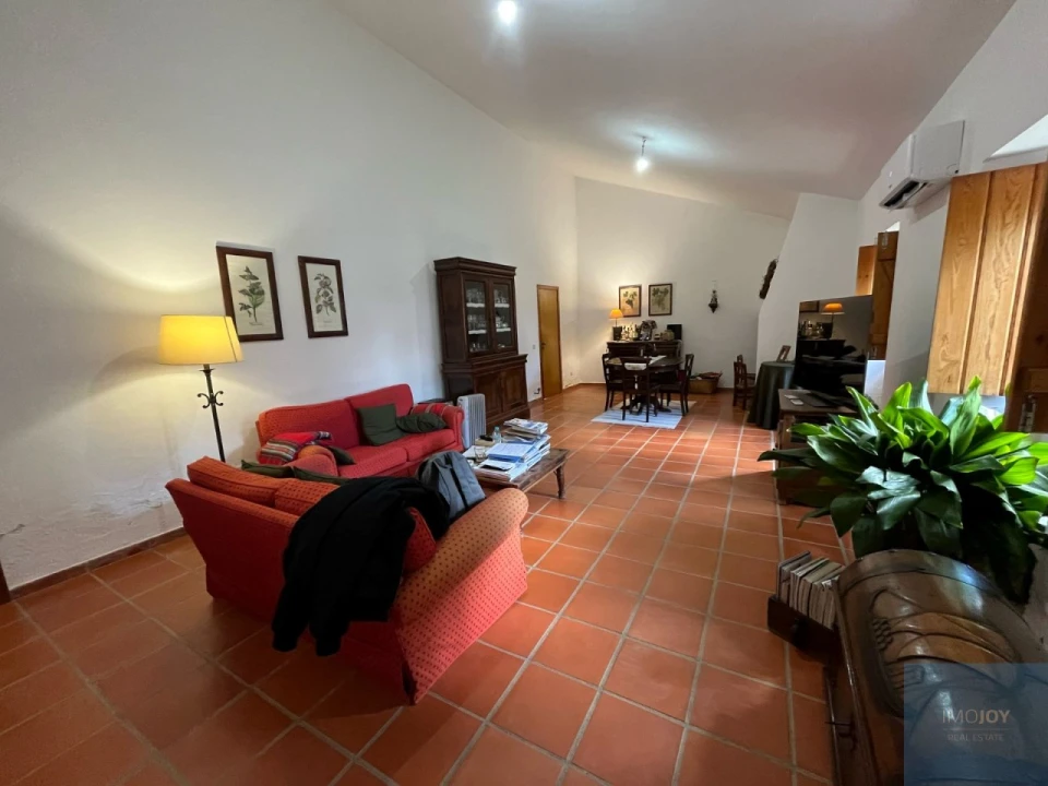 Quinta T4 para Venda em Avis Foto 2