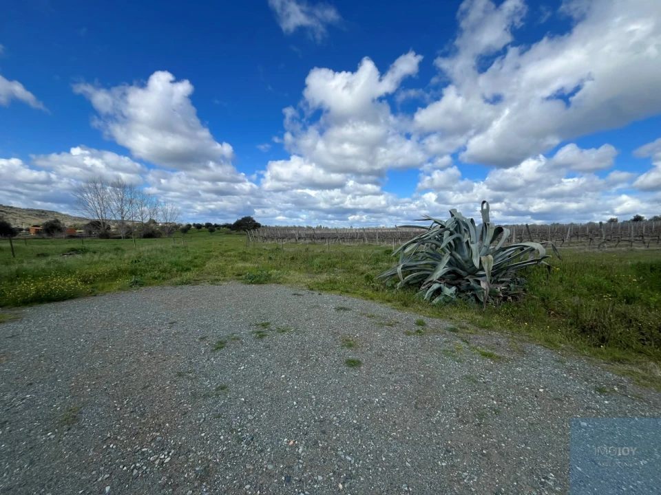 Quinta T4 para Venda em Avis Foto 38