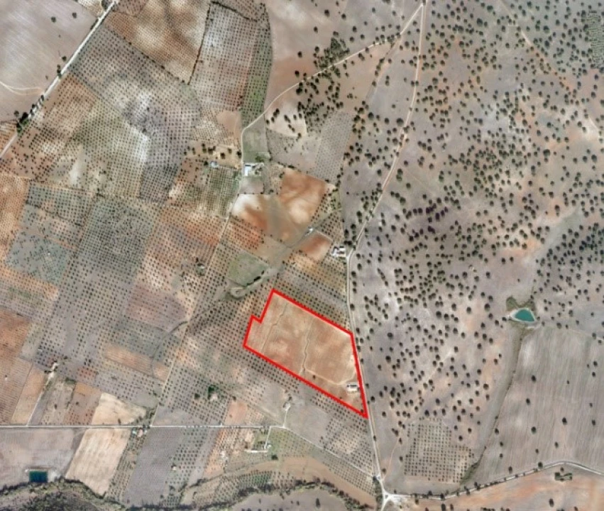 Quinta T4 para Venda em Avis Planta 2