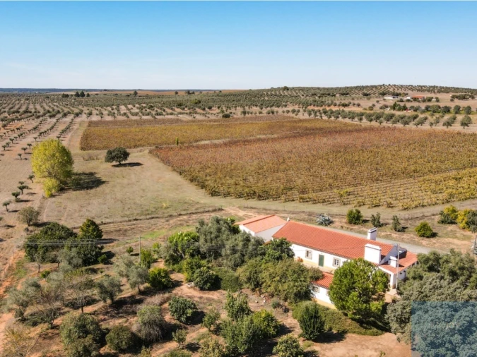 Quinta T4 para Venda em Avis