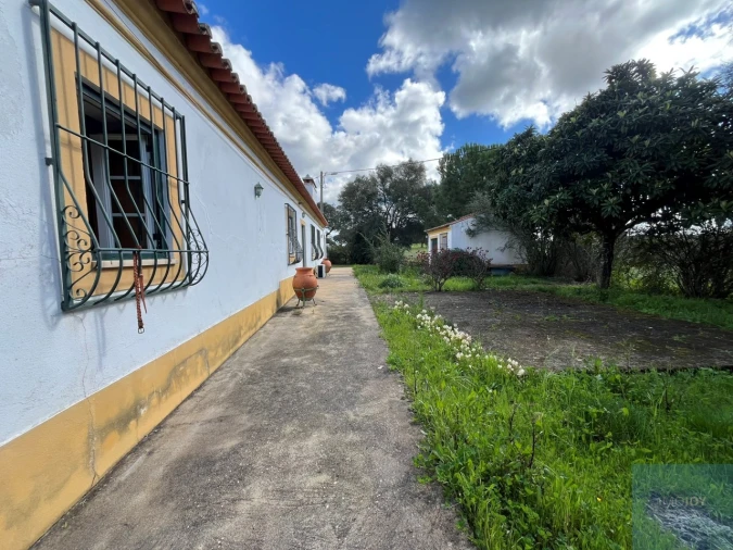 Quinta T4 para Venda em Avis Foto 26