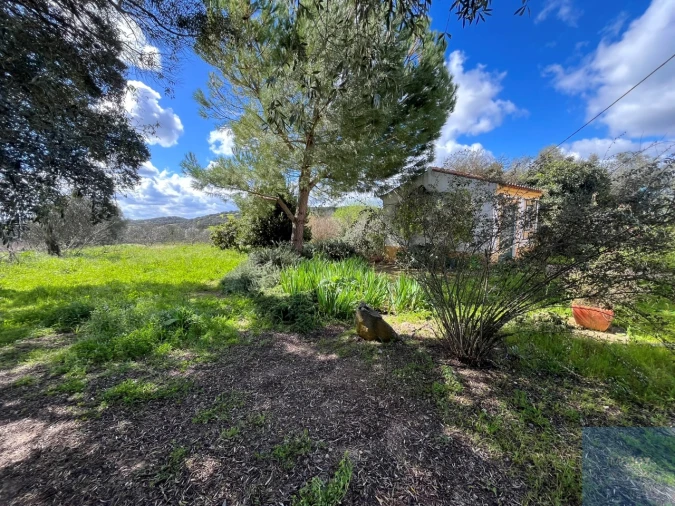 Quinta T4 para Venda em Avis Foto 33