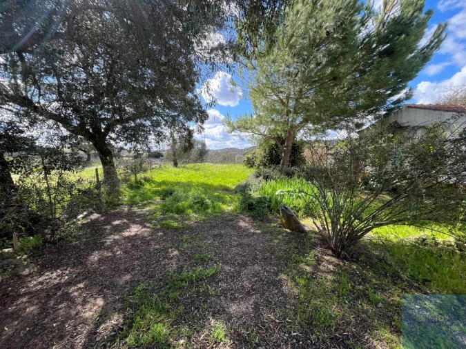 Quinta T4 para Venda em Avis Foto 34